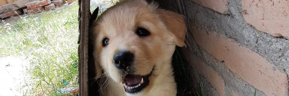 FlorGil22's profile banner image