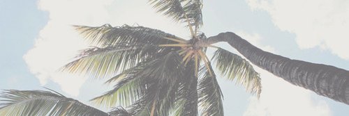 hhhrtr's profile banner image