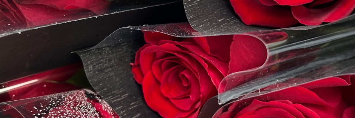 meej271's profile banner image