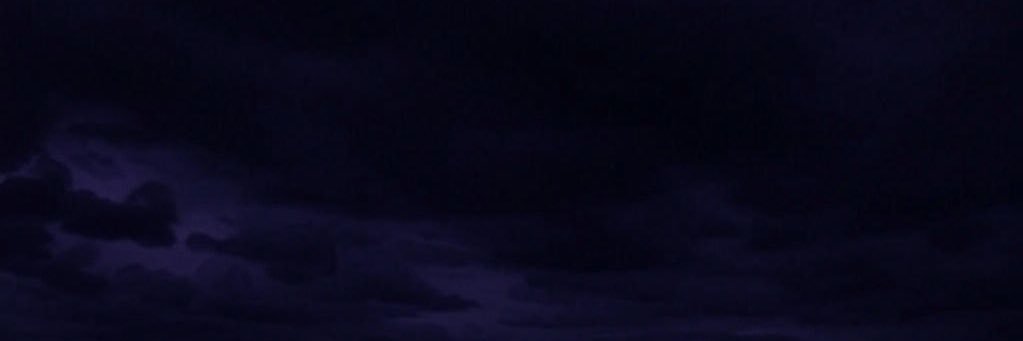 Xapien banner