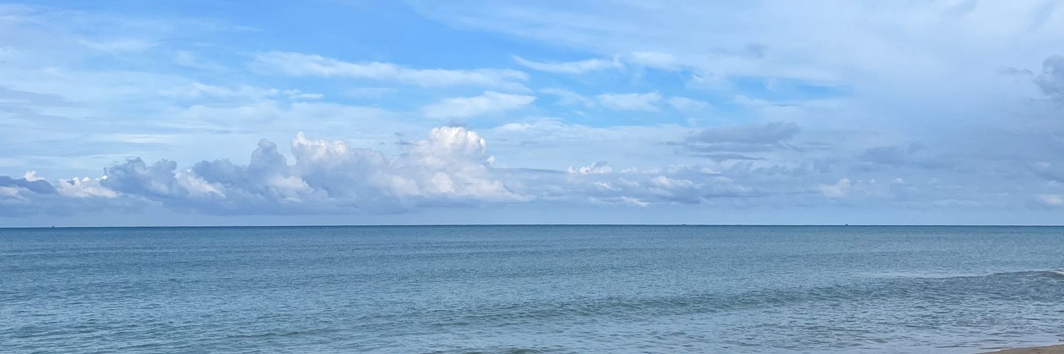 agreatdingo's profile banner image