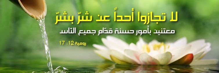 sallysaad17's profile banner image
