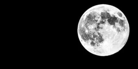 opheliapsn's profile banner image