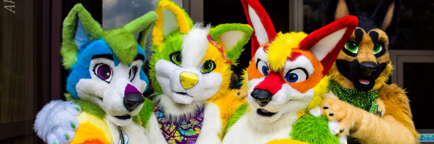 AorooHusky's profile banner image