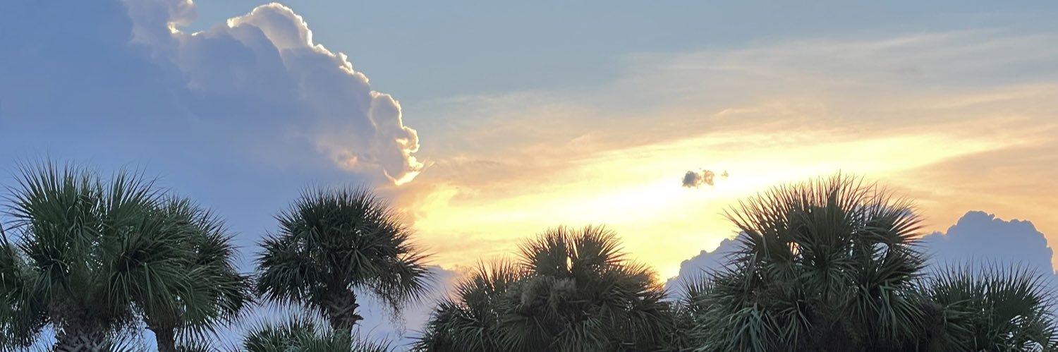 Mitch Boxx banner