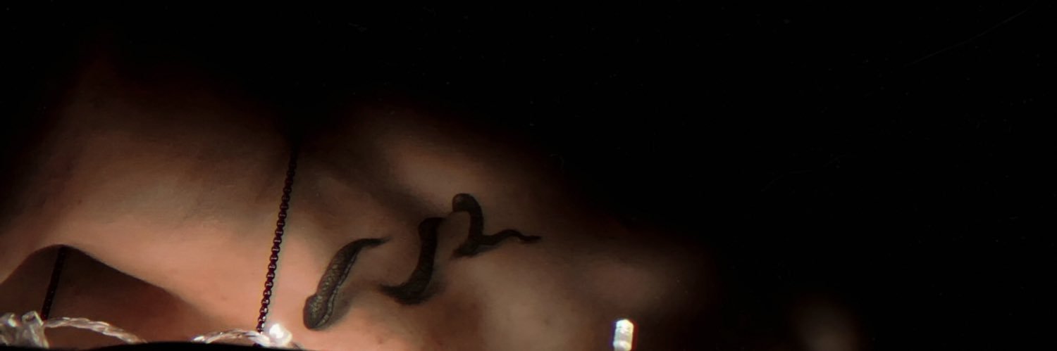 Ethan banner