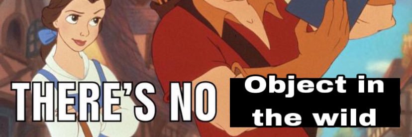 Objects in the Wild's banner