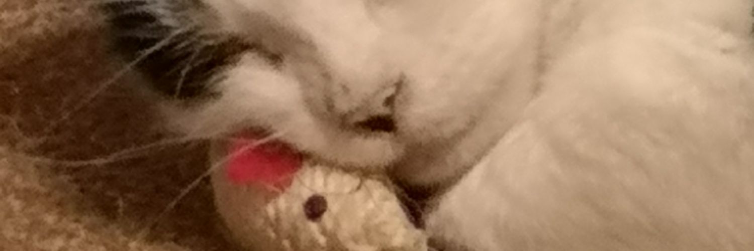 hellomynameisAdam banner