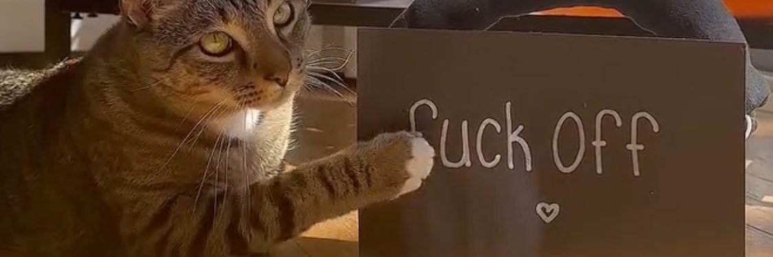 tejooook's profile banner image