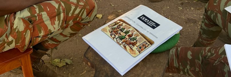 Strategic Stabilization Advisors banner