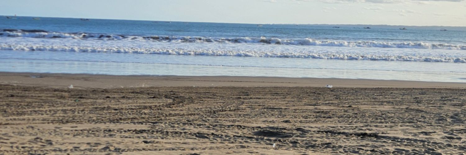 fafandry's profile banner image