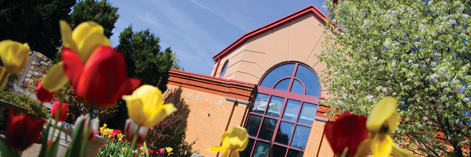 La Roche Career Development banner