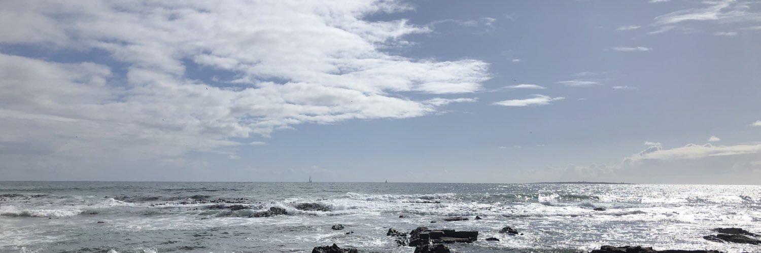 Ippzen's profile banner image