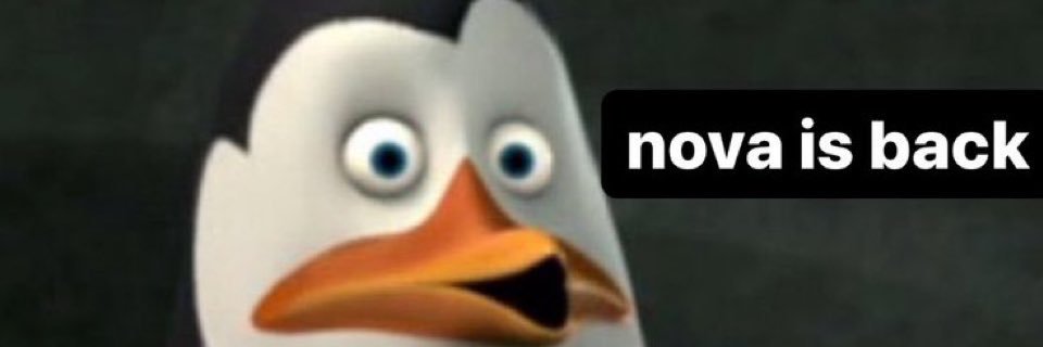 Main Line Lemur banner