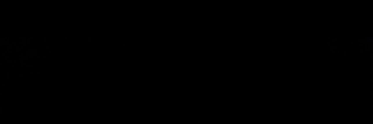 🕵🏽nftscamtracker👨🏽‍💻 banner