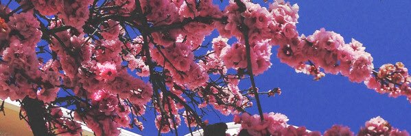 karlee_1019's profile banner image