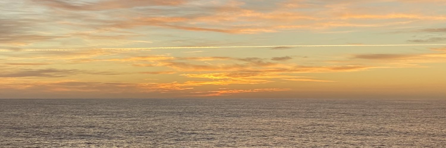 Saray Sanchez banner