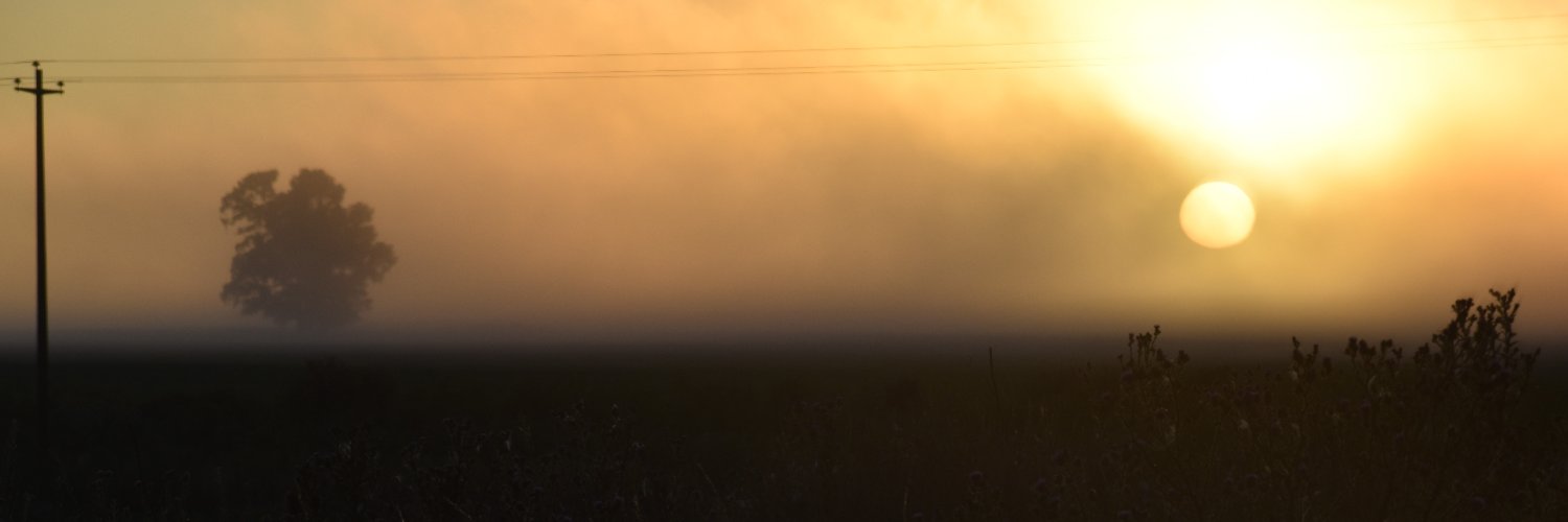 dg_reginato's profile banner image
