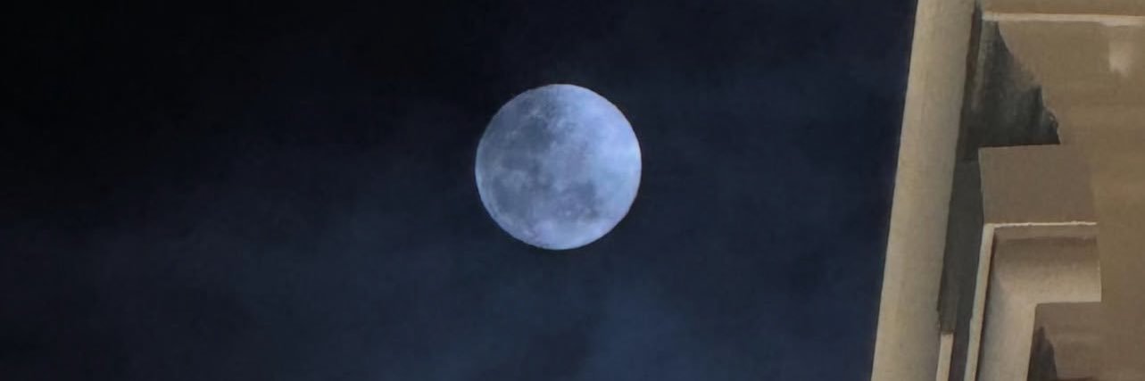 7MD banner