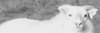 ronald_6102's profile banner image