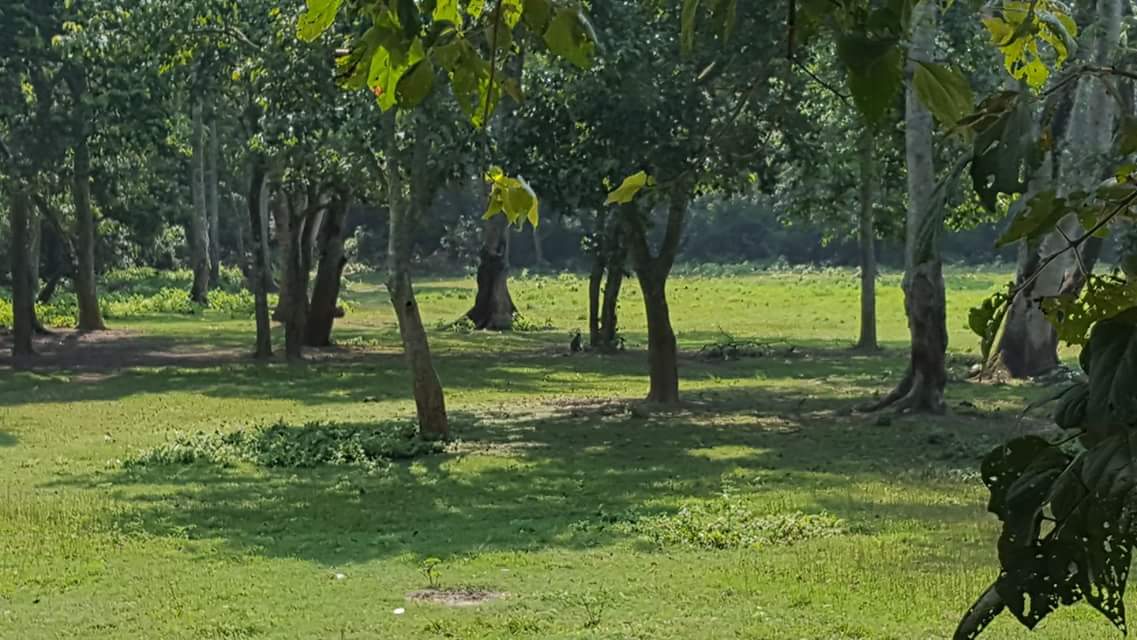 volunteerloves's profile banner image