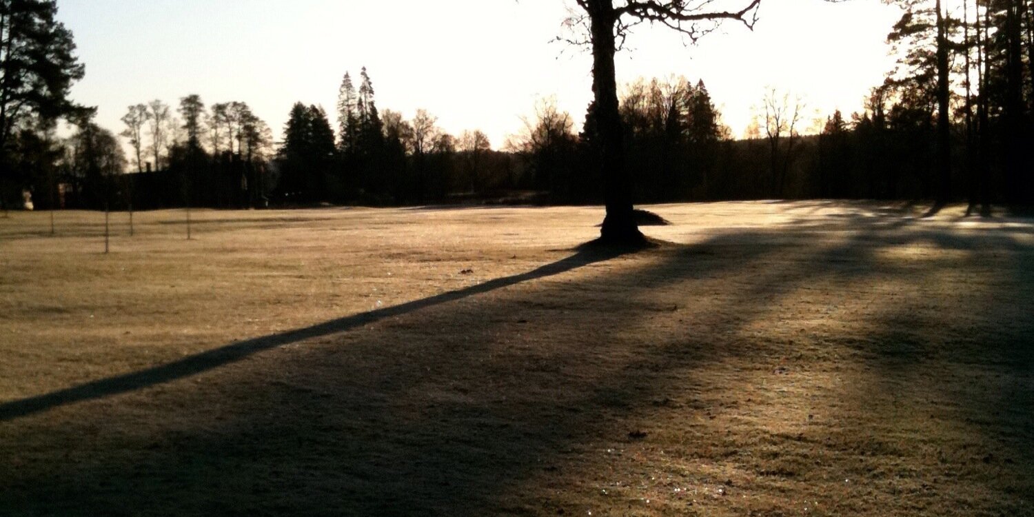 Daniel Levisson banner