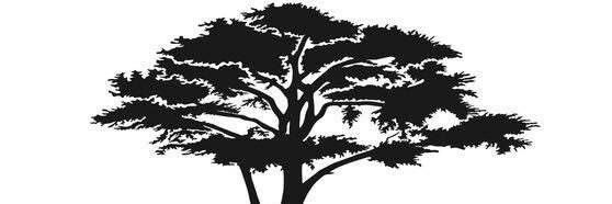 Not-Friendly-Guy banner