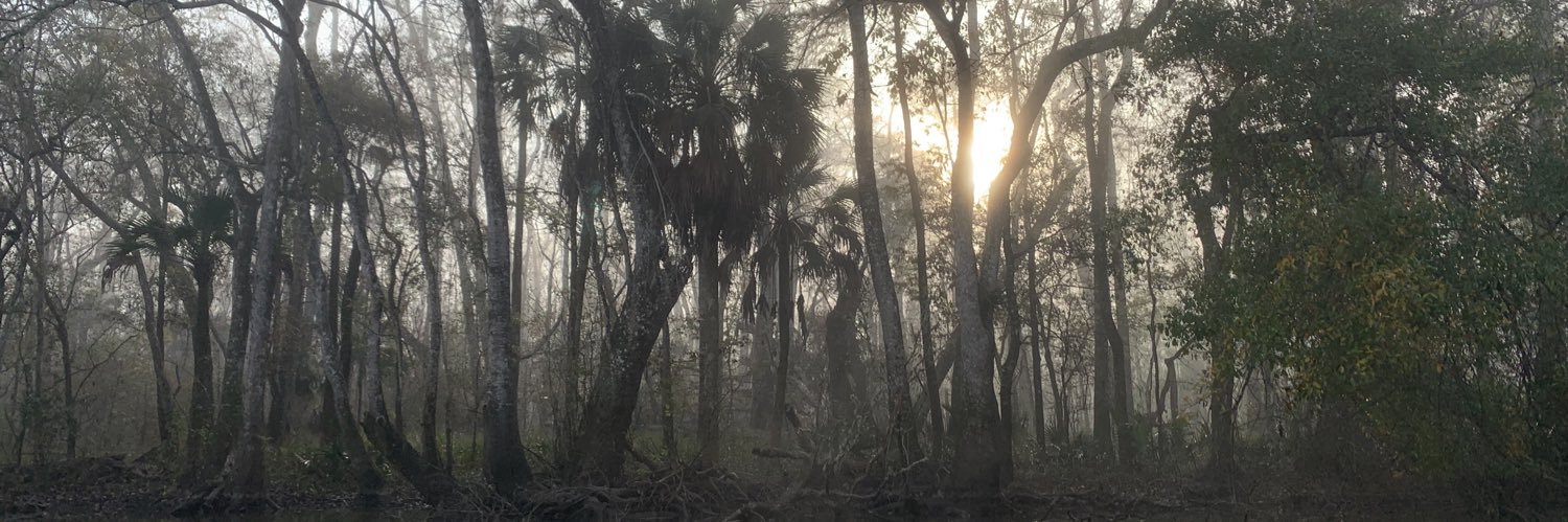 swamphvg's profile banner image