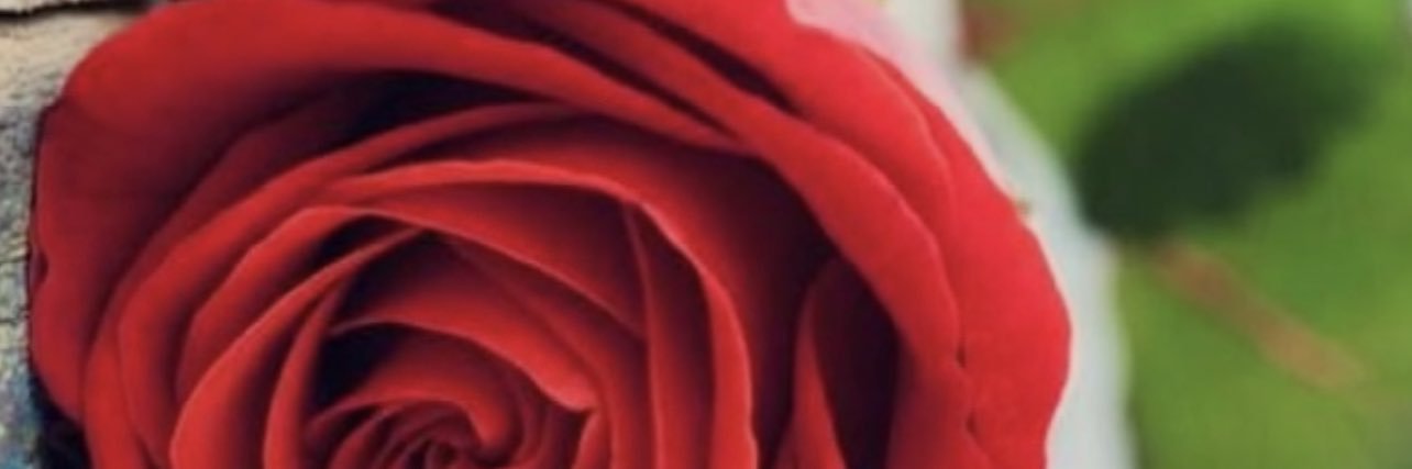 AnnaMoulin9's profile banner image