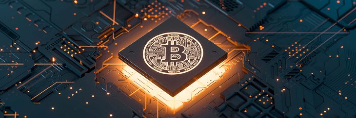 Cryptolife982's profile banner image