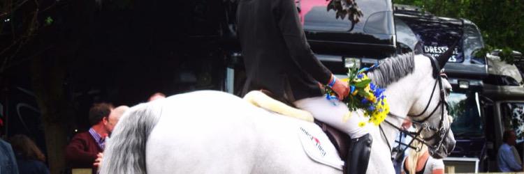 david simpson banner
