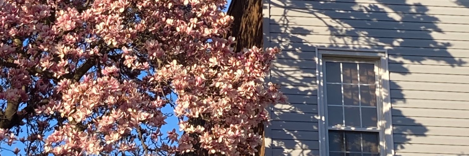 devinbarricklow's profile banner image