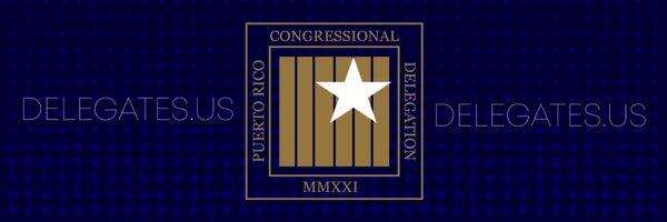 delegates51 Profile Banner