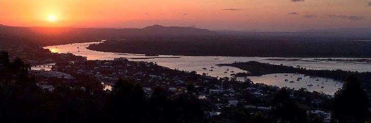 Brenda Shepard banner