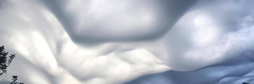 Trecash2's profile banner image