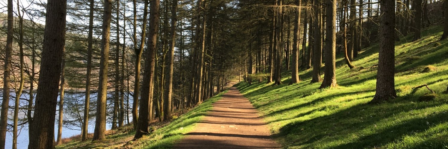 JohnBrook13's profile banner image
