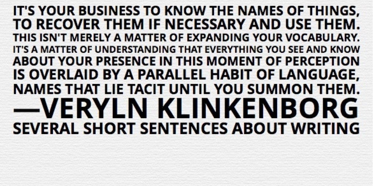 VerlynKlinkenborg's profile banner image