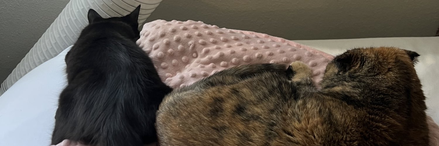 Fizzi Fizzi Fizz banner