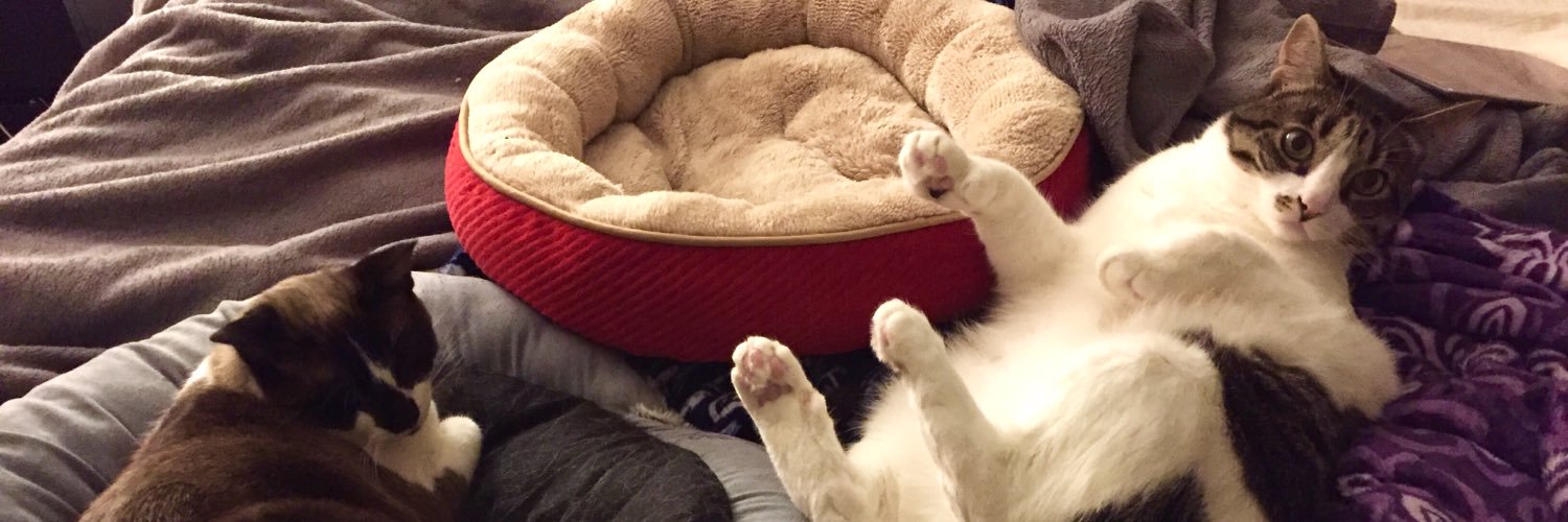 Felis Artifex banner