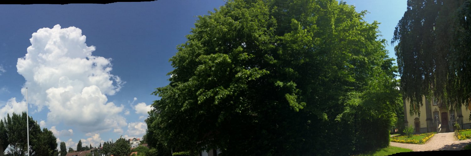 Lara❤️ Amy 📯 🏳️‍🌈🏳️‍⚧️ banner