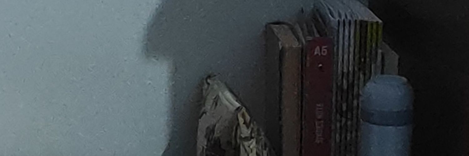 curiosity banner