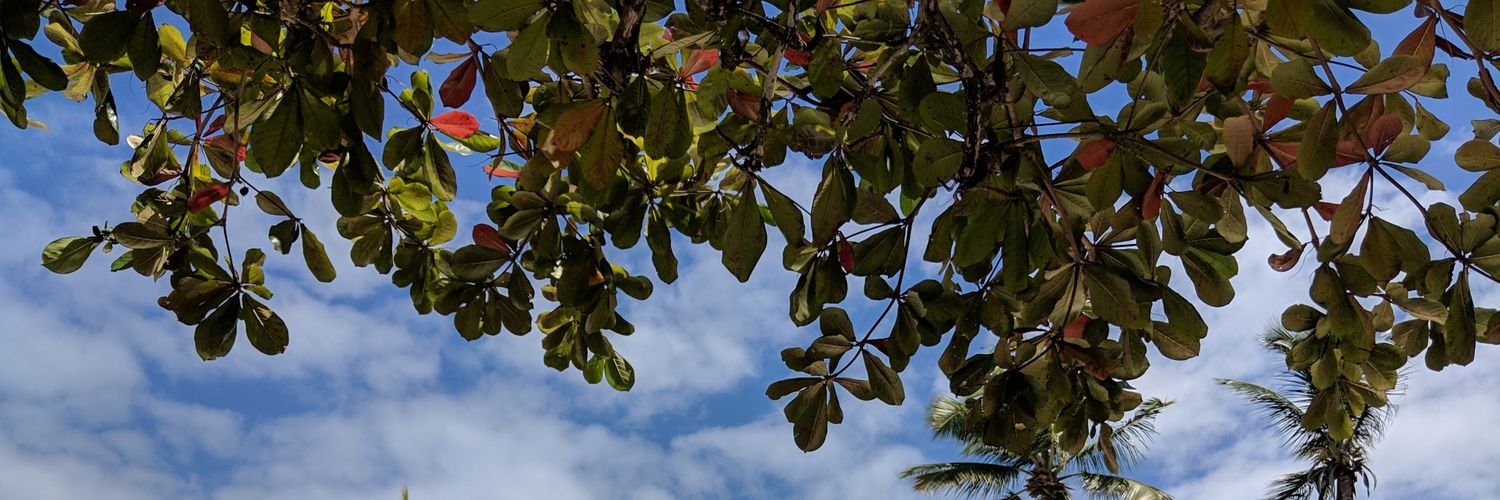 nikeeta's profile banner image