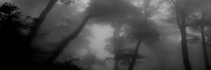 zeroxfnbr7's profile banner image