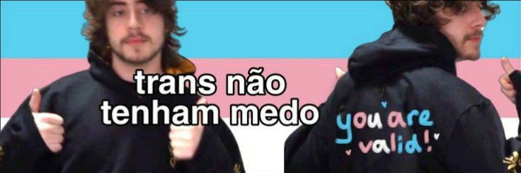 ThePirateFox49 banner