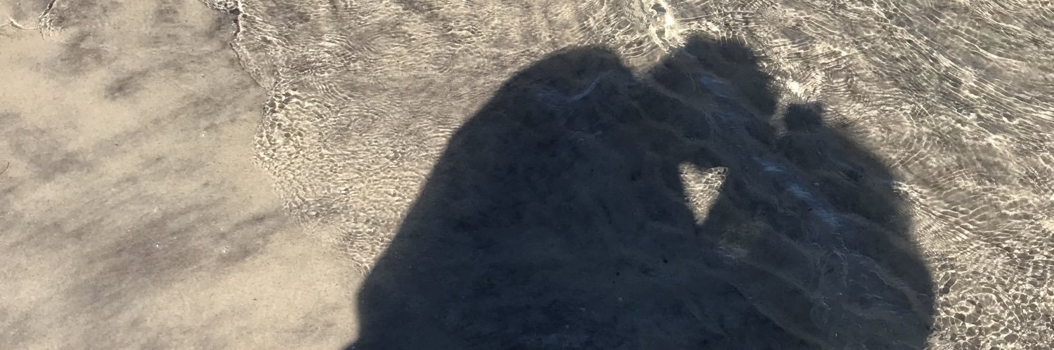 estankiewicz1's profile banner image