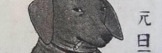 KrisNovosad's profile banner image