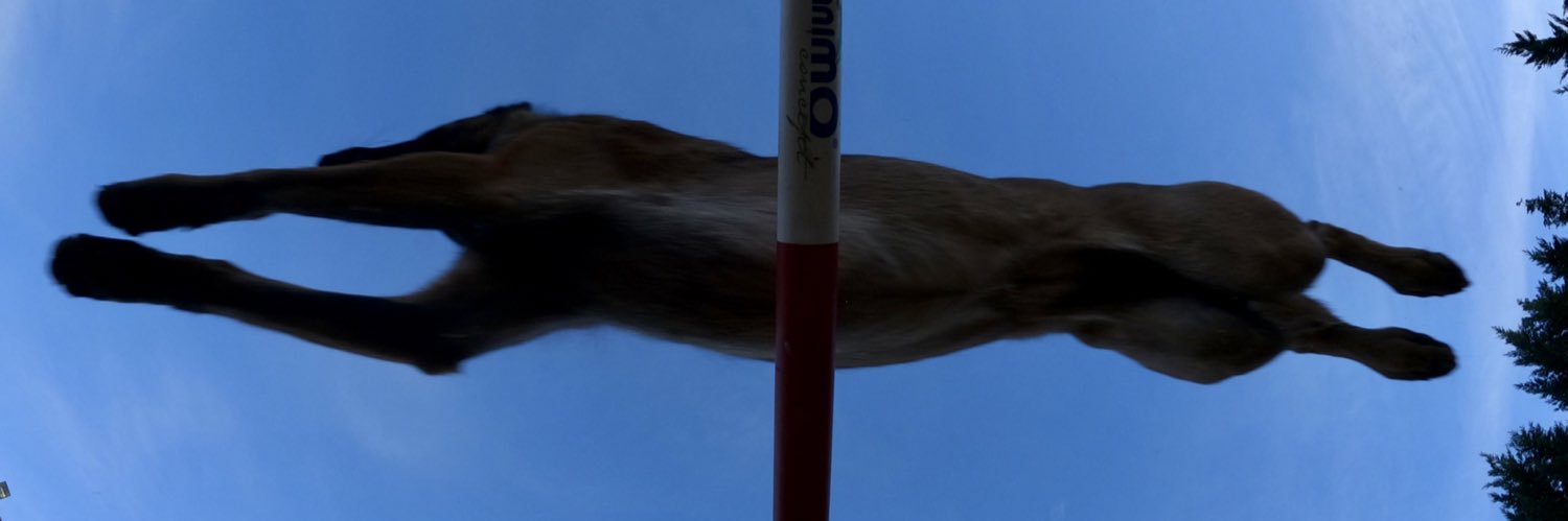 franagility's profile banner image