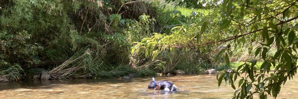 orbicularbat Profile Banner