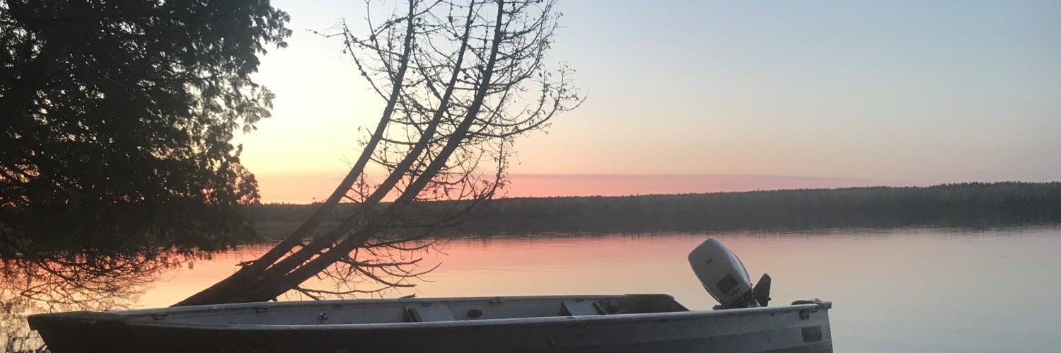 NTSchafer's profile banner image