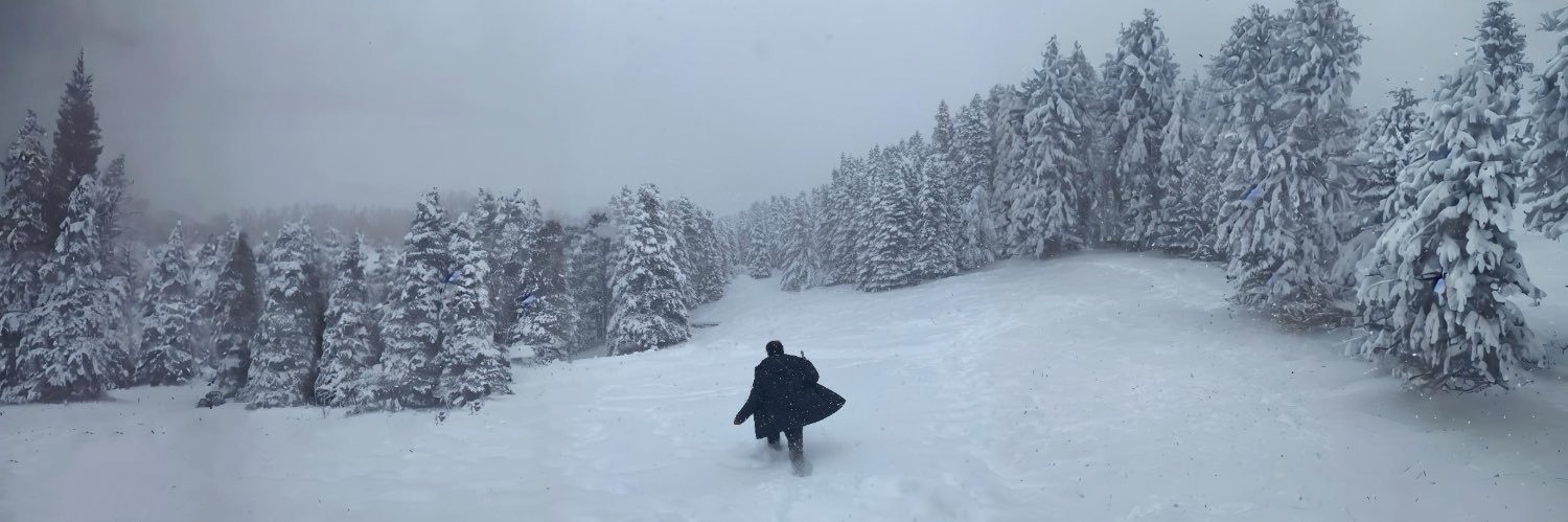 Mohamed Faisal banner